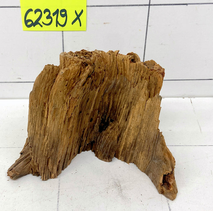 62319X - XINGU Wood Wurzelholz mit geschnittener Grundfläche