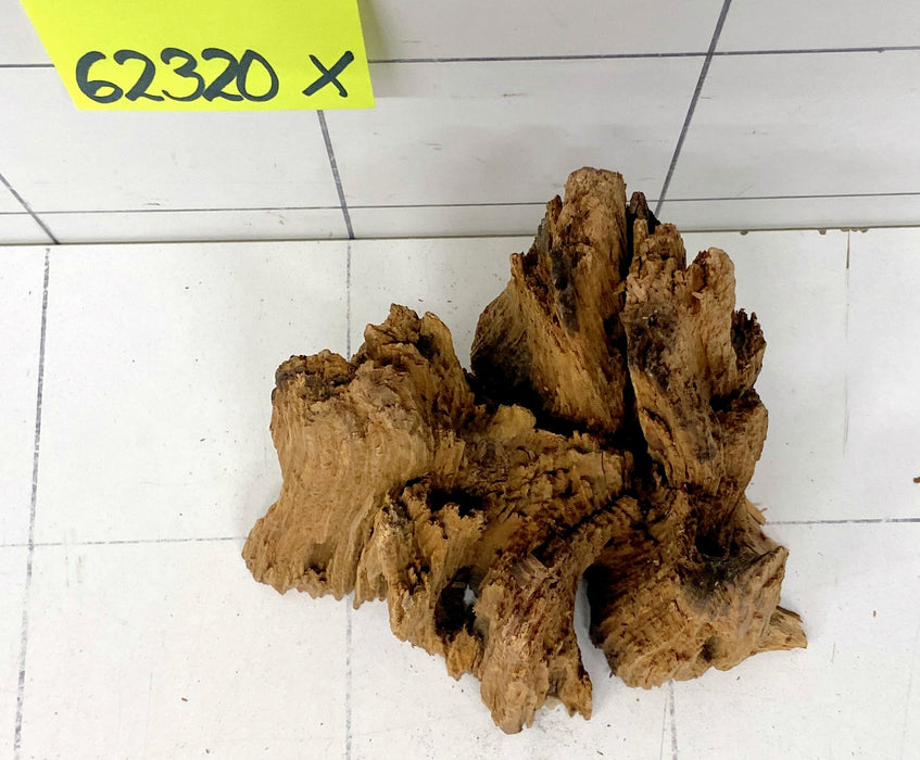 62320X - XINGU Wood Wurzelholz mit geschnittener Grundfläche