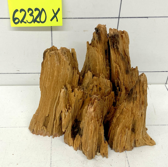 62320X - XINGU Wood Wurzelholz mit geschnittener Grundfläche