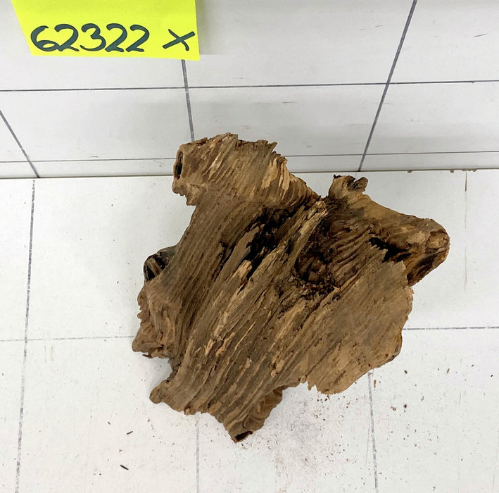 62322X - XINGU Wood Wurzelholz mit geschnittener Grundfläche
