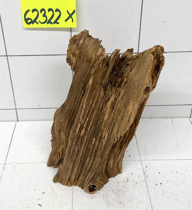 62322X - XINGU Wood Wurzelholz mit geschnittener Grundfläche