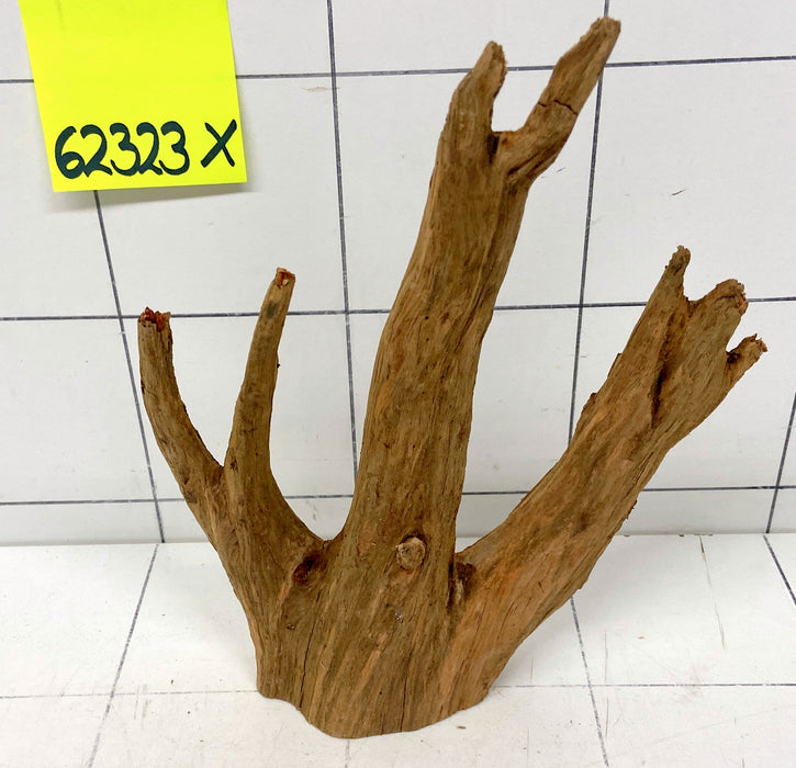 62323X - XINGU Wood Wurzelholz mit geschnittener Grundfläche