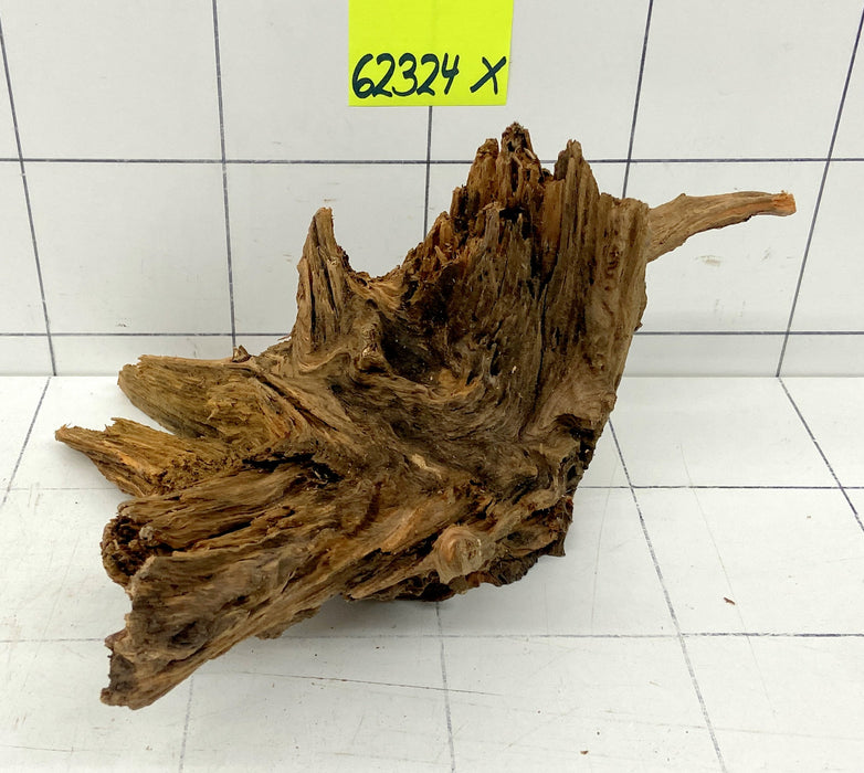 62324X - XINGU Wood Wurzelholz mit geschnittener Grundfläche