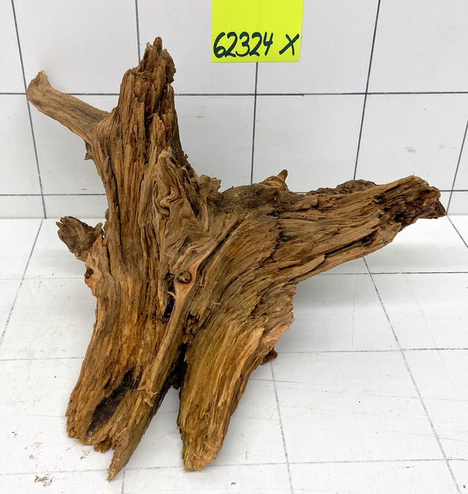 62324X - XINGU Wood Wurzelholz mit geschnittener Grundfläche