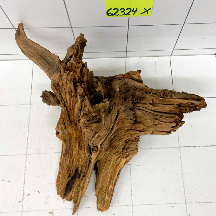 62324X - XINGU Wood Wurzelholz mit geschnittener Grundfläche