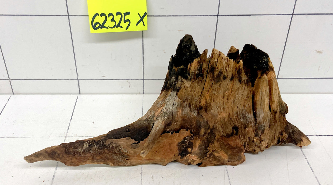 62325X - XINGU Wood Wurzelholz mit geschnittener Grundfläche