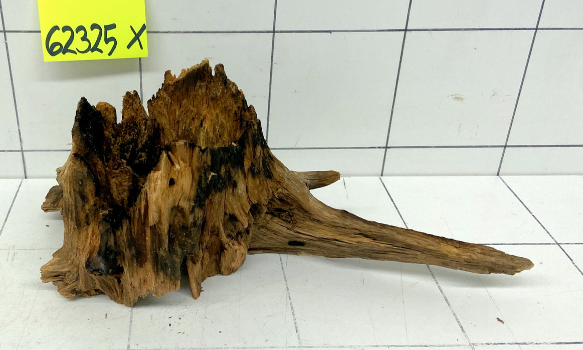 62325X - XINGU Wood Wurzelholz mit geschnittener Grundfläche