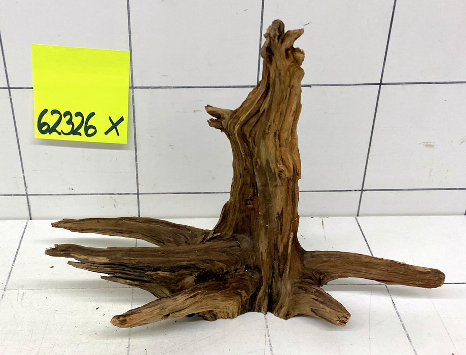 62326X - XINGU Wood Wurzelholz mit geschnittener Grundfläche