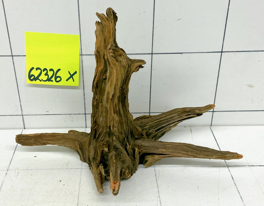 62326X - XINGU Wood Wurzelholz mit geschnittener Grundfläche