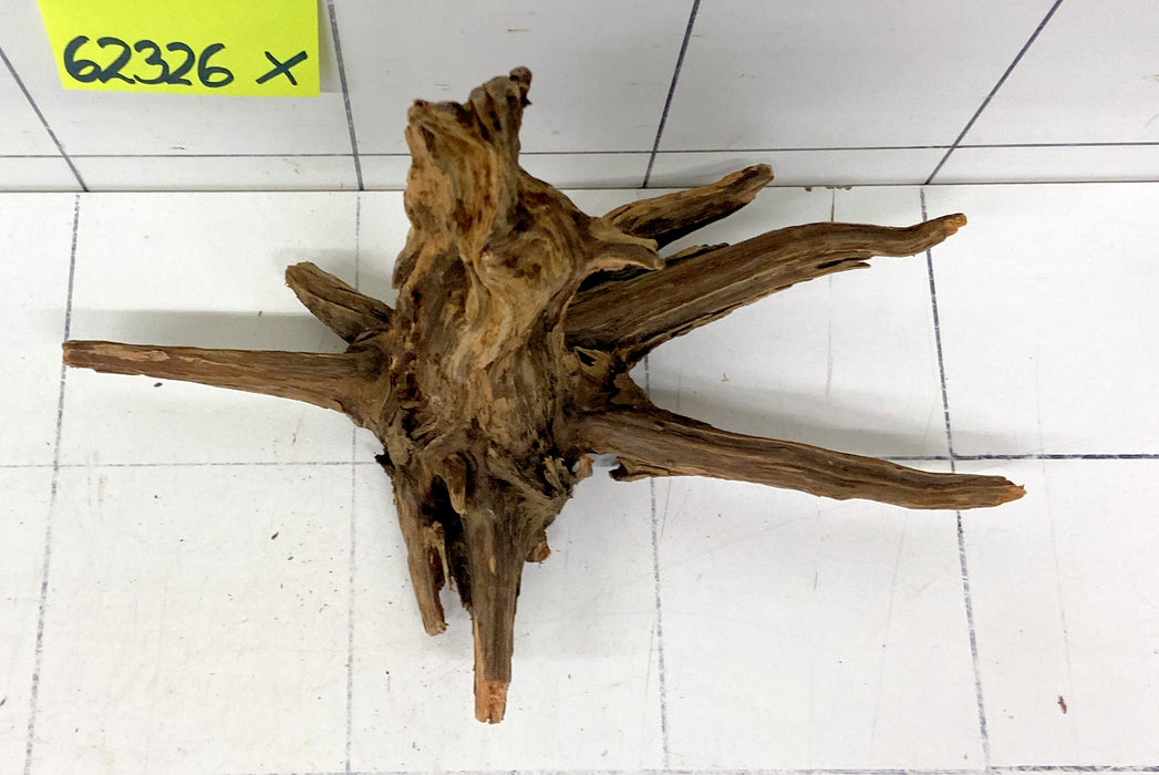 62326X - XINGU Wood Wurzelholz mit geschnittener Grundfläche