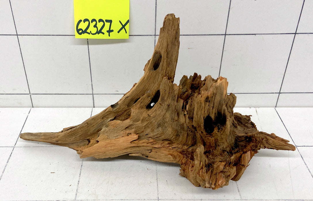 62327X - XINGU Wood Wurzelholz mit geschnittener Grundfläche