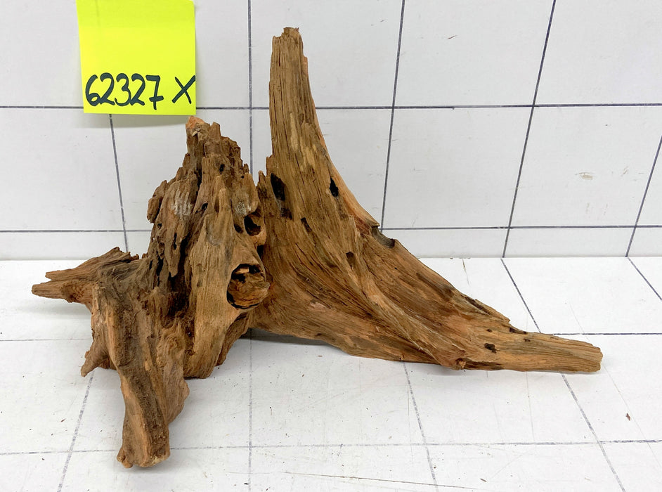 62327X - XINGU Wood Wurzelholz mit geschnittener Grundfläche