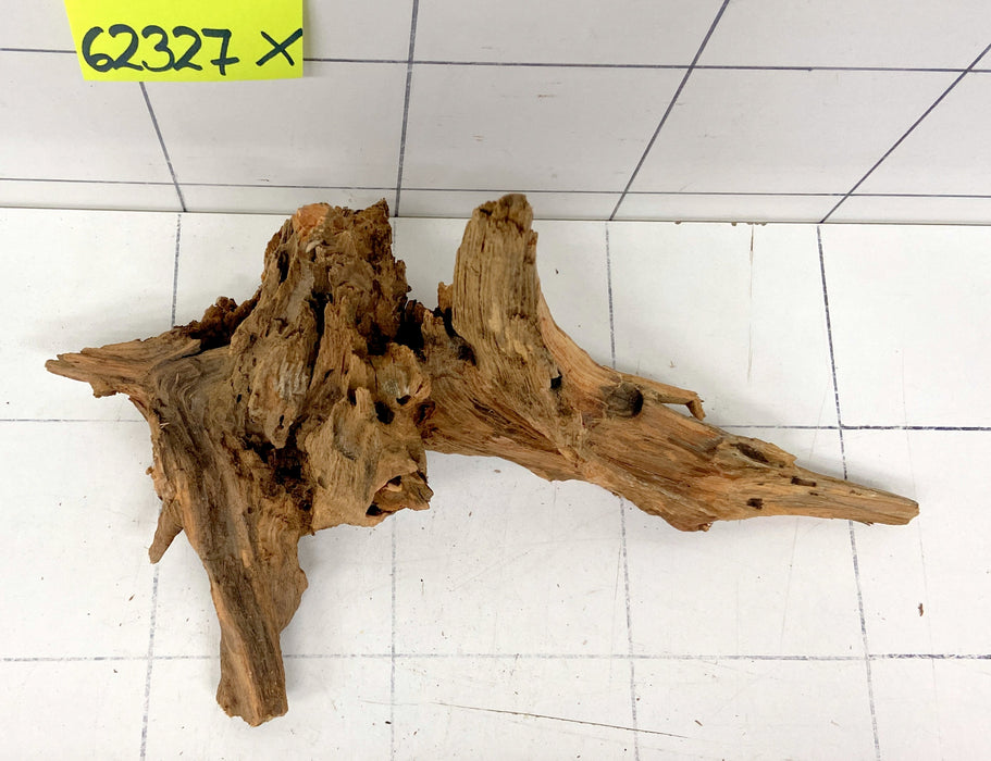62327X - XINGU Wood Wurzelholz mit geschnittener Grundfläche