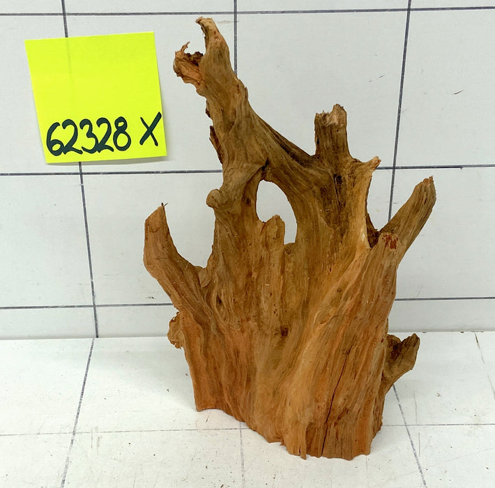 62328X - XINGU Wood Wurzelholz mit geschnittener Grundfläche