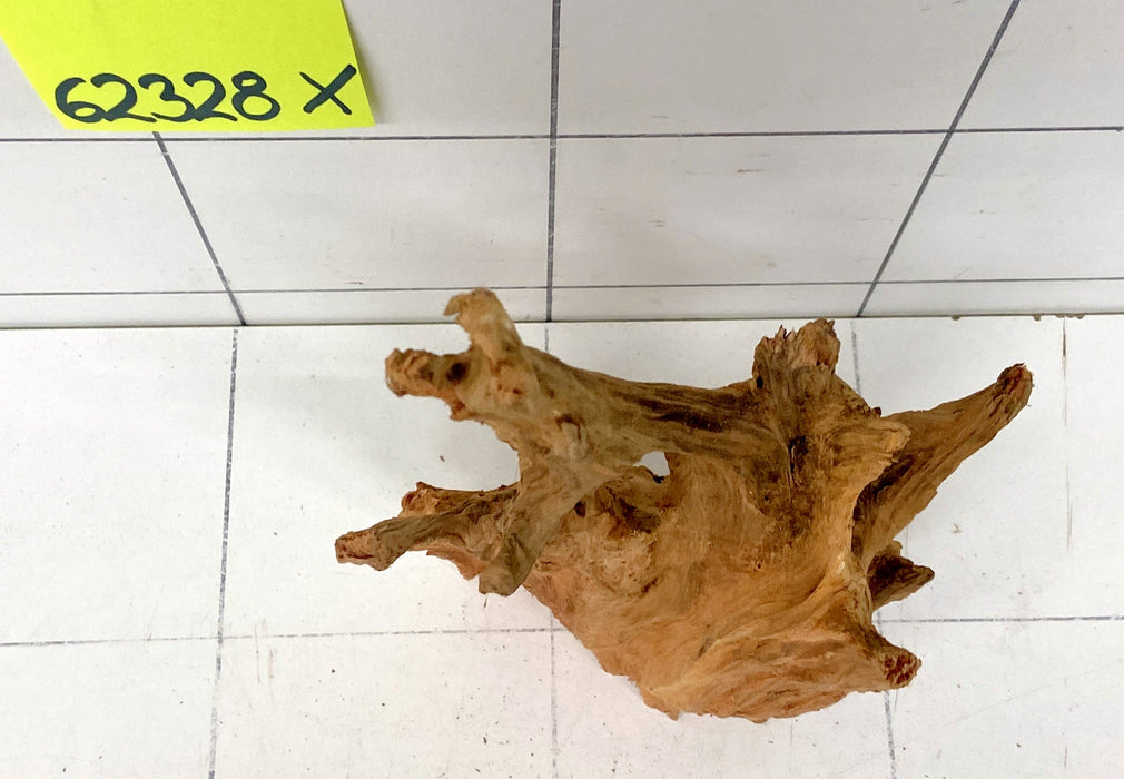 62328X - XINGU Wood Wurzelholz mit geschnittener Grundfläche