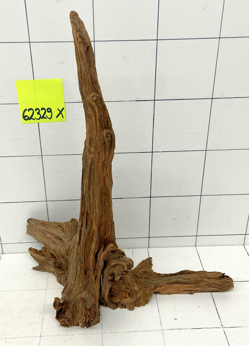 62329X - XINGU Wood Wurzelholz mit geschnittener Grundfläche