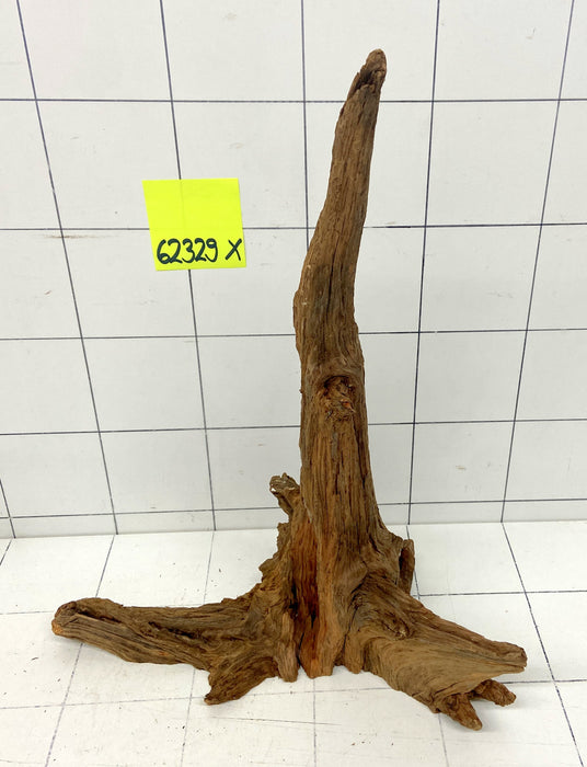 62329X - XINGU Wood Wurzelholz mit geschnittener Grundfläche