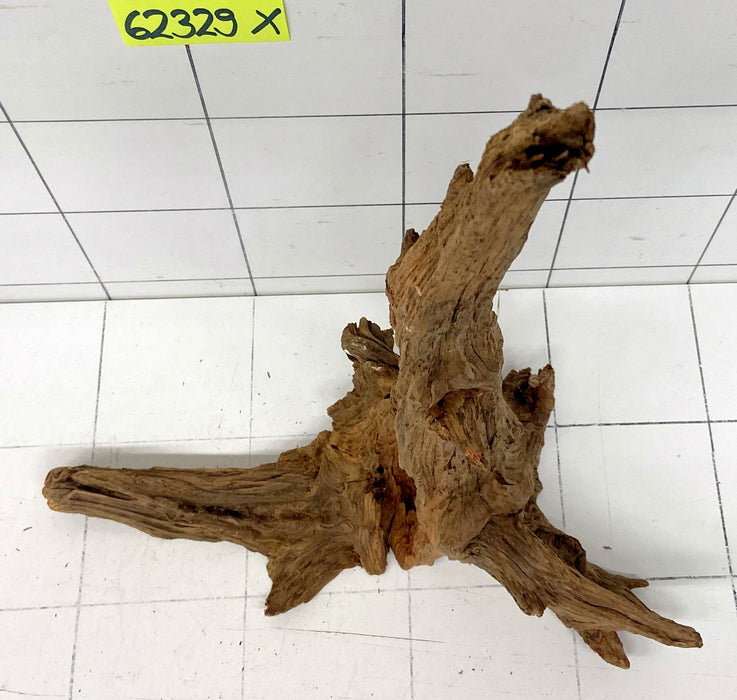 62329X - XINGU Wood Wurzelholz mit geschnittener Grundfläche
