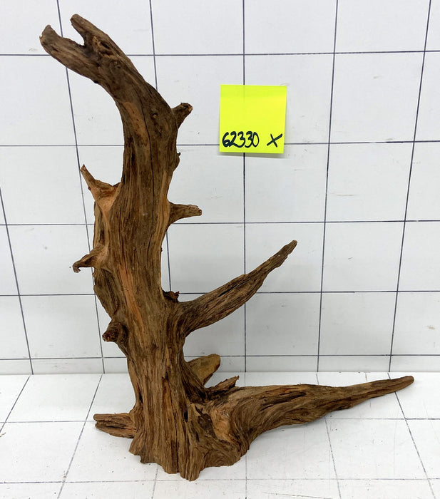 62330X - XINGU Wood Wurzelholz mit geschnittener Grundfläche