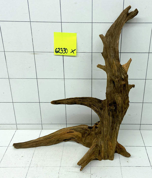 62330X - XINGU Wood Wurzelholz mit geschnittener Grundfläche