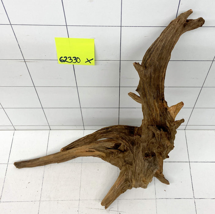 62330X - XINGU Wood Wurzelholz mit geschnittener Grundfläche