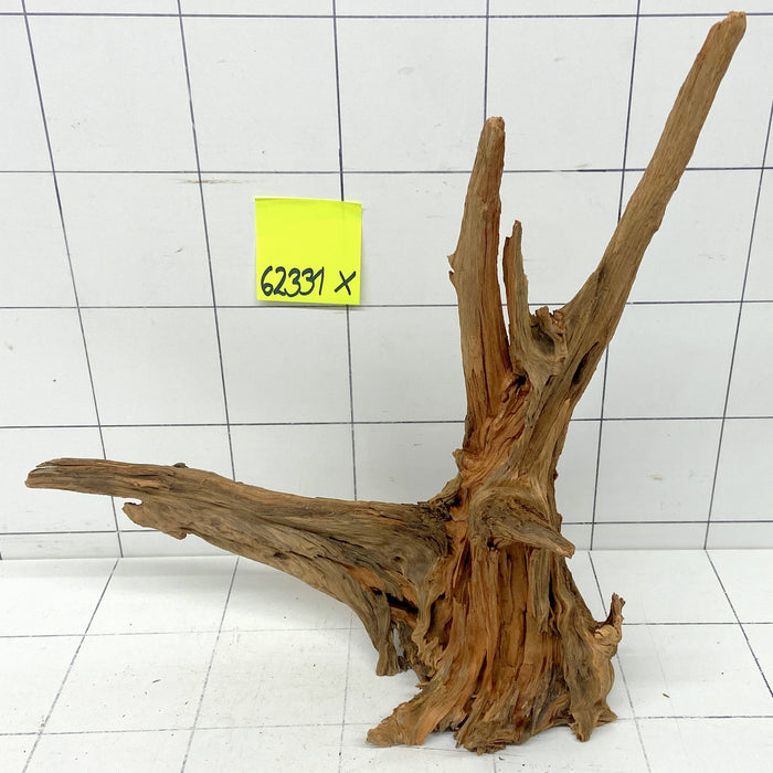 62331X - XINGU Wood Wurzelholz mit geschnittener Grundfläche