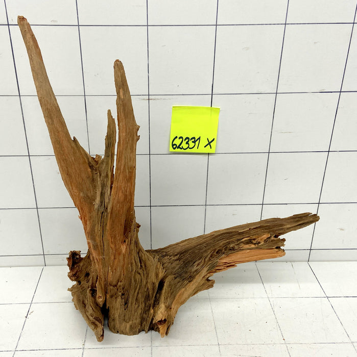 62331X - XINGU Wood Wurzelholz mit geschnittener Grundfläche