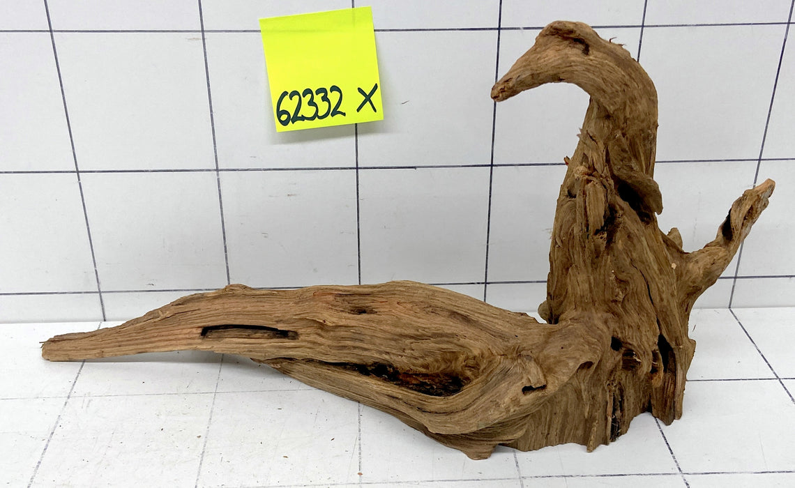 62332X - XINGU Wood Wurzelholz mit geschnittener Grundfläche