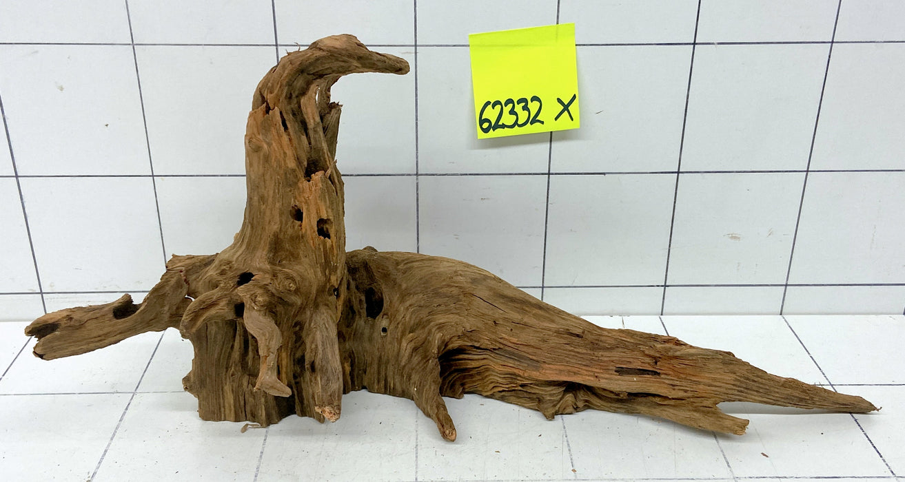 62332X - XINGU Wood Wurzelholz mit geschnittener Grundfläche