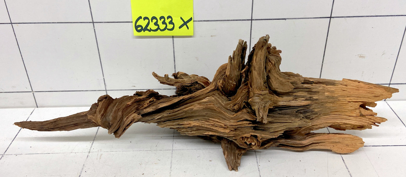62333X - XINGU Wood Wurzelholz