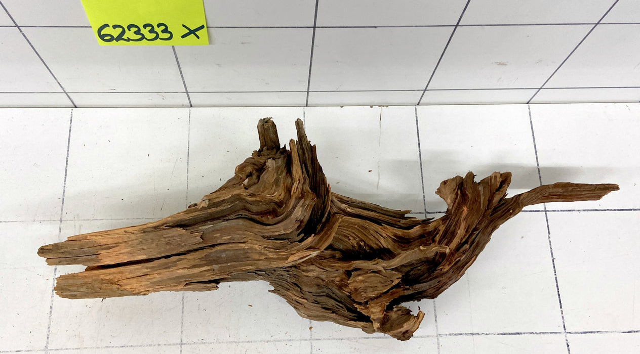 62333X - XINGU Wood Wurzelholz