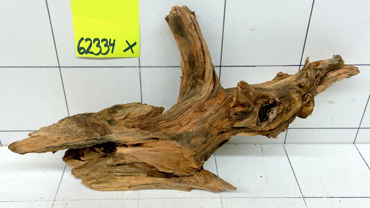 62334X - XINGU Wood Wurzelholz