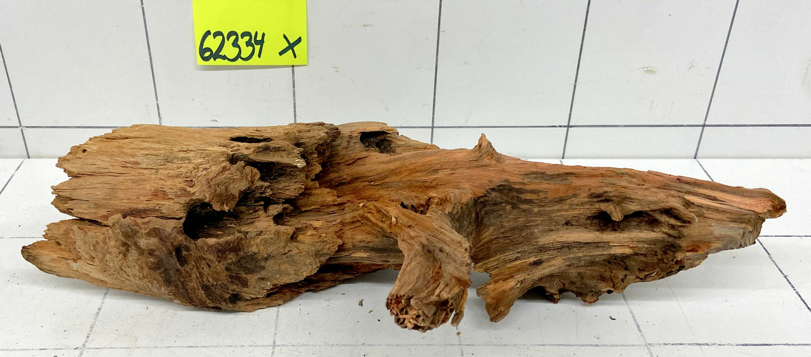 62334X - XINGU Wood Wurzelholz