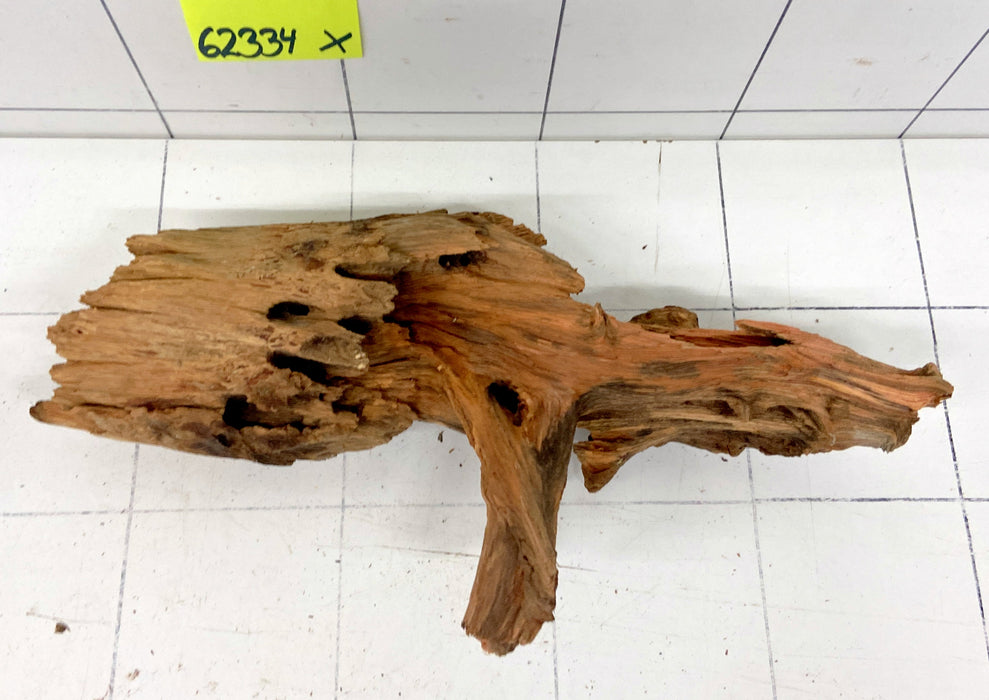 62334X - XINGU Wood Wurzelholz