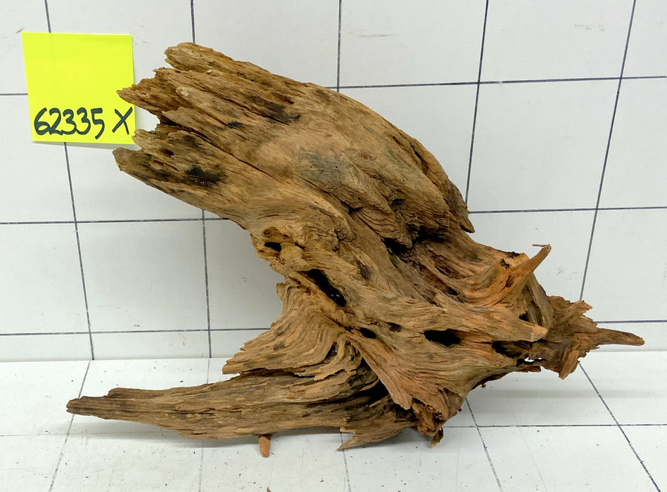 62335X - XINGU Wood Wurzelholz