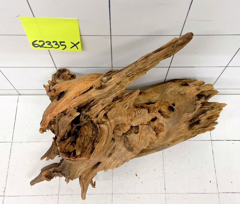 62335X - XINGU Wood Wurzelholz