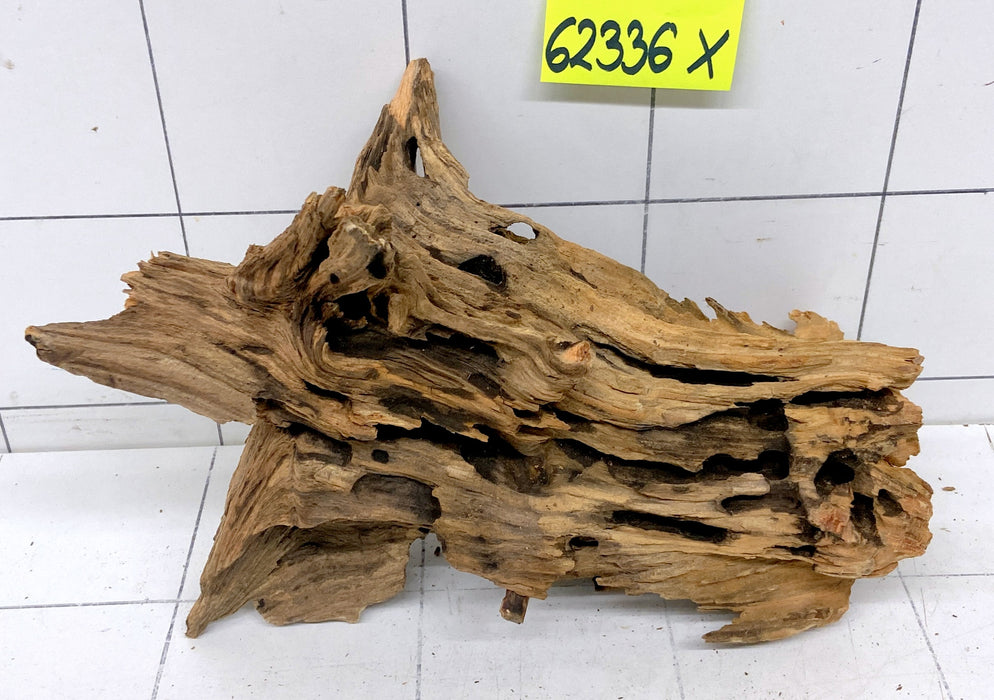 62336X - XINGU Wood Wurzelholz
