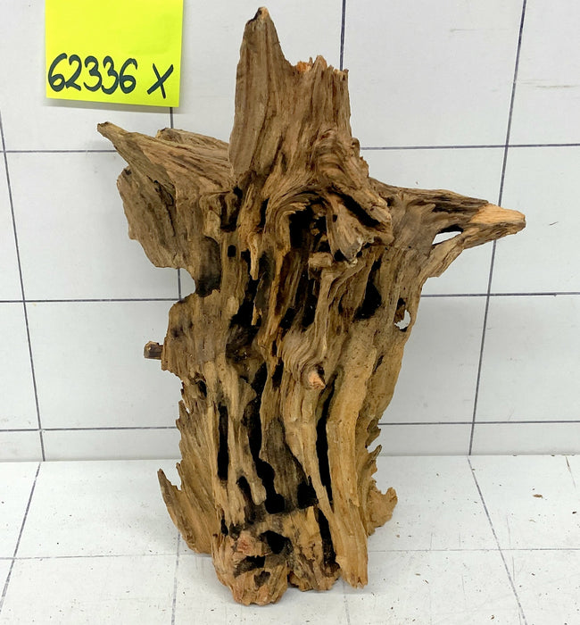 62336X - XINGU Wood Wurzelholz