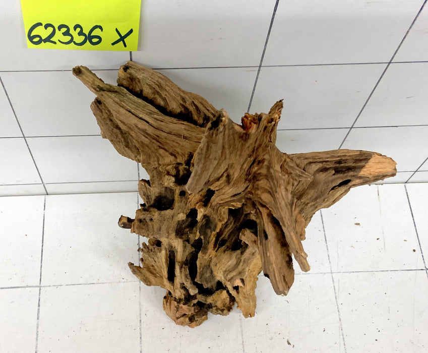 62336X - XINGU Wood Wurzelholz