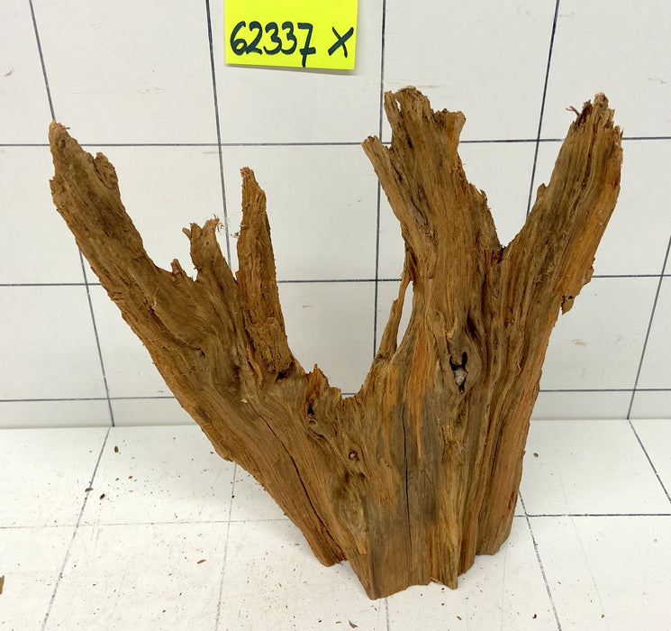 62337X - XINGU Wood Wurzelholz mit geschnittener Grundfläche