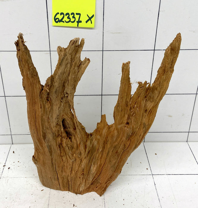 62337X - XINGU Wood Wurzelholz mit geschnittener Grundfläche