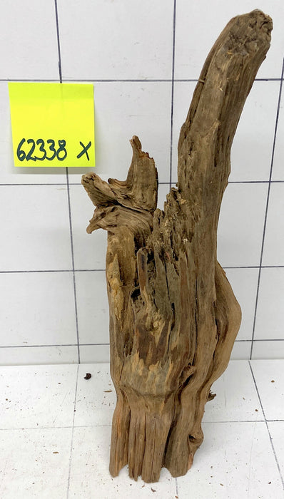 62338X - XINGU Wood Wurzelholz mit geschnittener Grundfläche