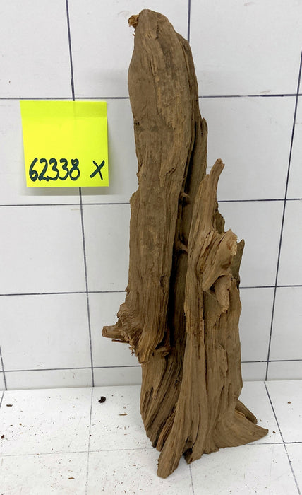 62338X - XINGU Wood Wurzelholz mit geschnittener Grundfläche