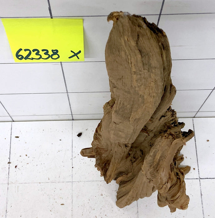 62338X - XINGU Wood Wurzelholz mit geschnittener Grundfläche