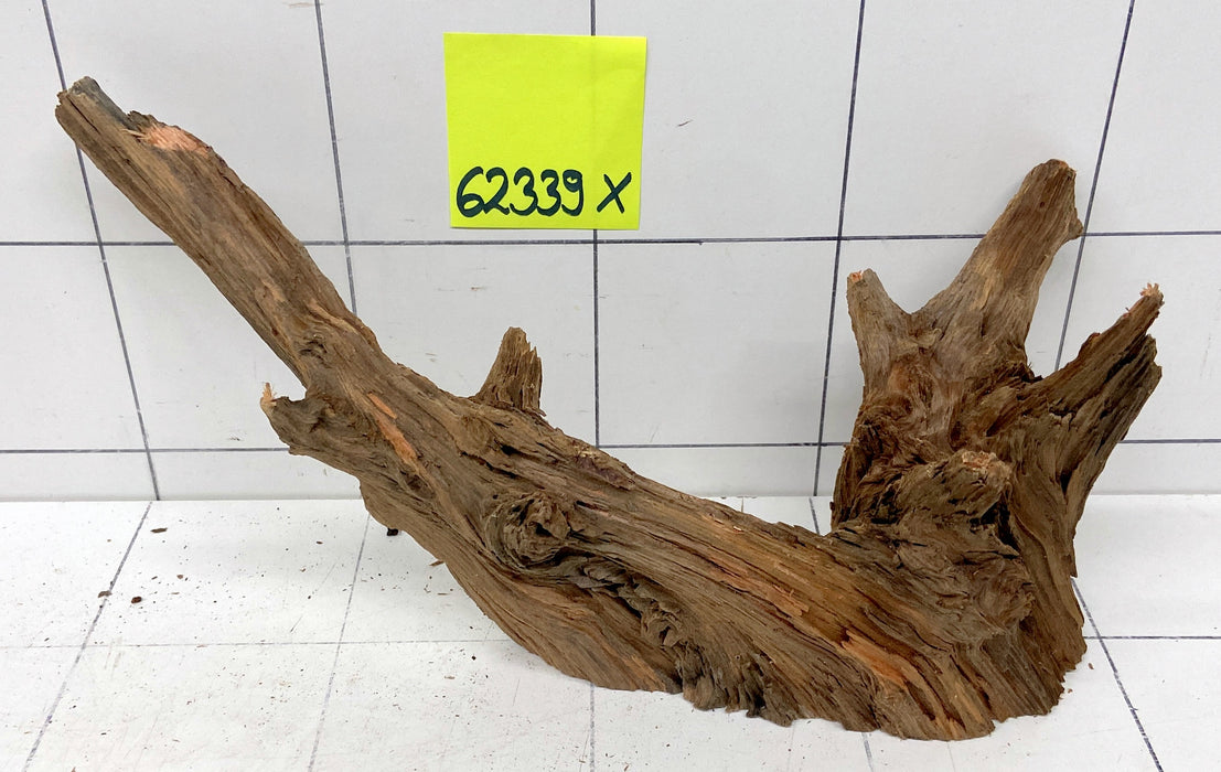 62339X - XINGU Wood Wurzelholz mit geschnittener Grundfläche
