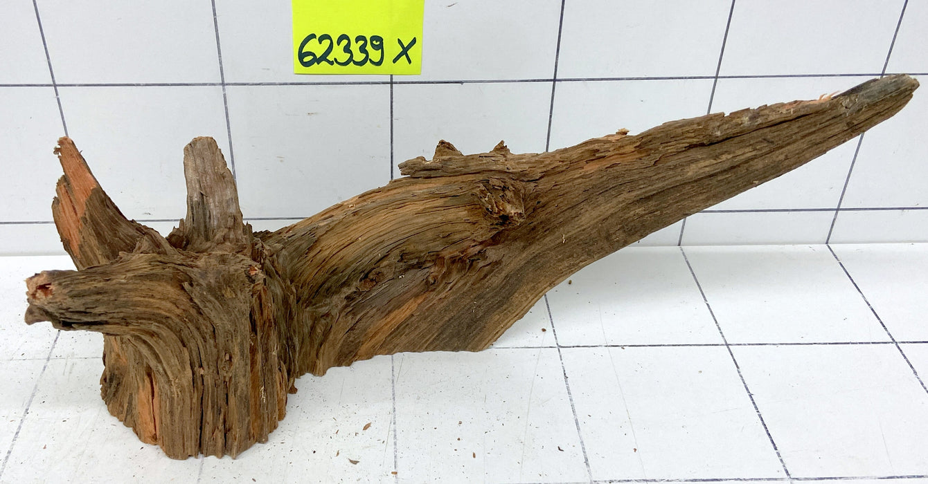62339X - XINGU Wood Wurzelholz mit geschnittener Grundfläche