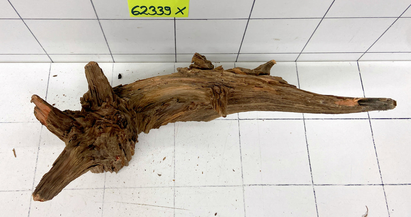 62339X - XINGU Wood Wurzelholz mit geschnittener Grundfläche