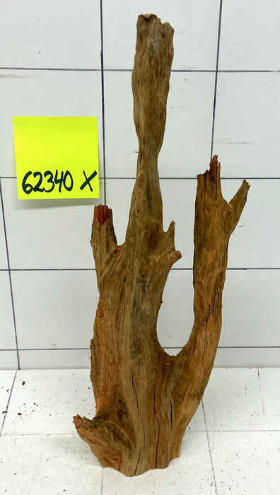 62340X - XINGU Wood Wurzelholz mit geschnittener Grundfläche