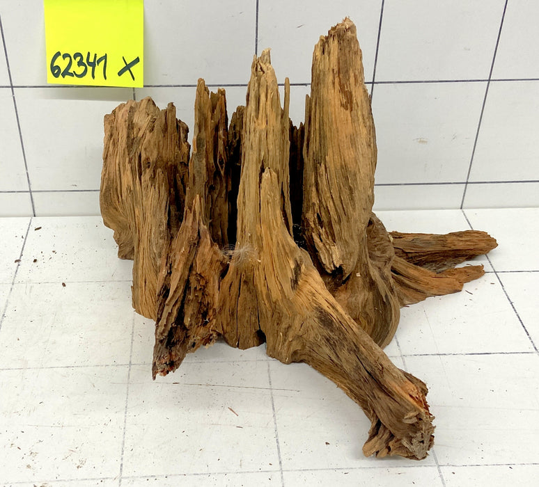62341X - XINGU Wood Wurzelholz mit geschnittener Grundfläche