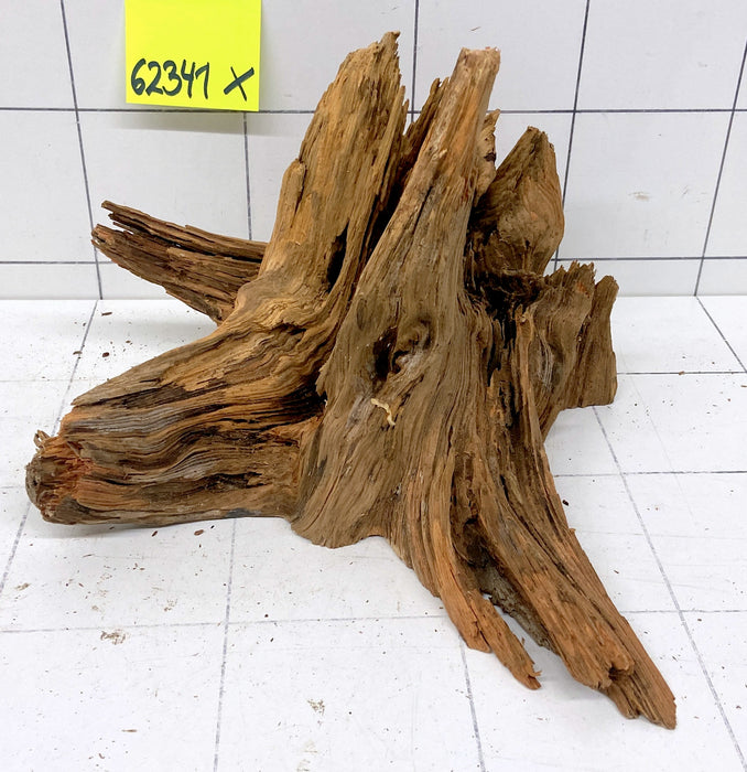 62341X - XINGU Wood Wurzelholz mit geschnittener Grundfläche